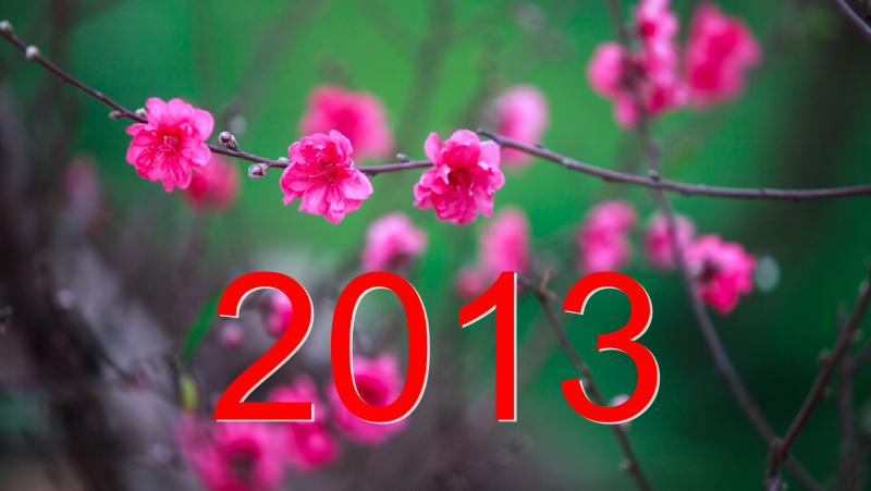 Chúc mừng năm mới 2013